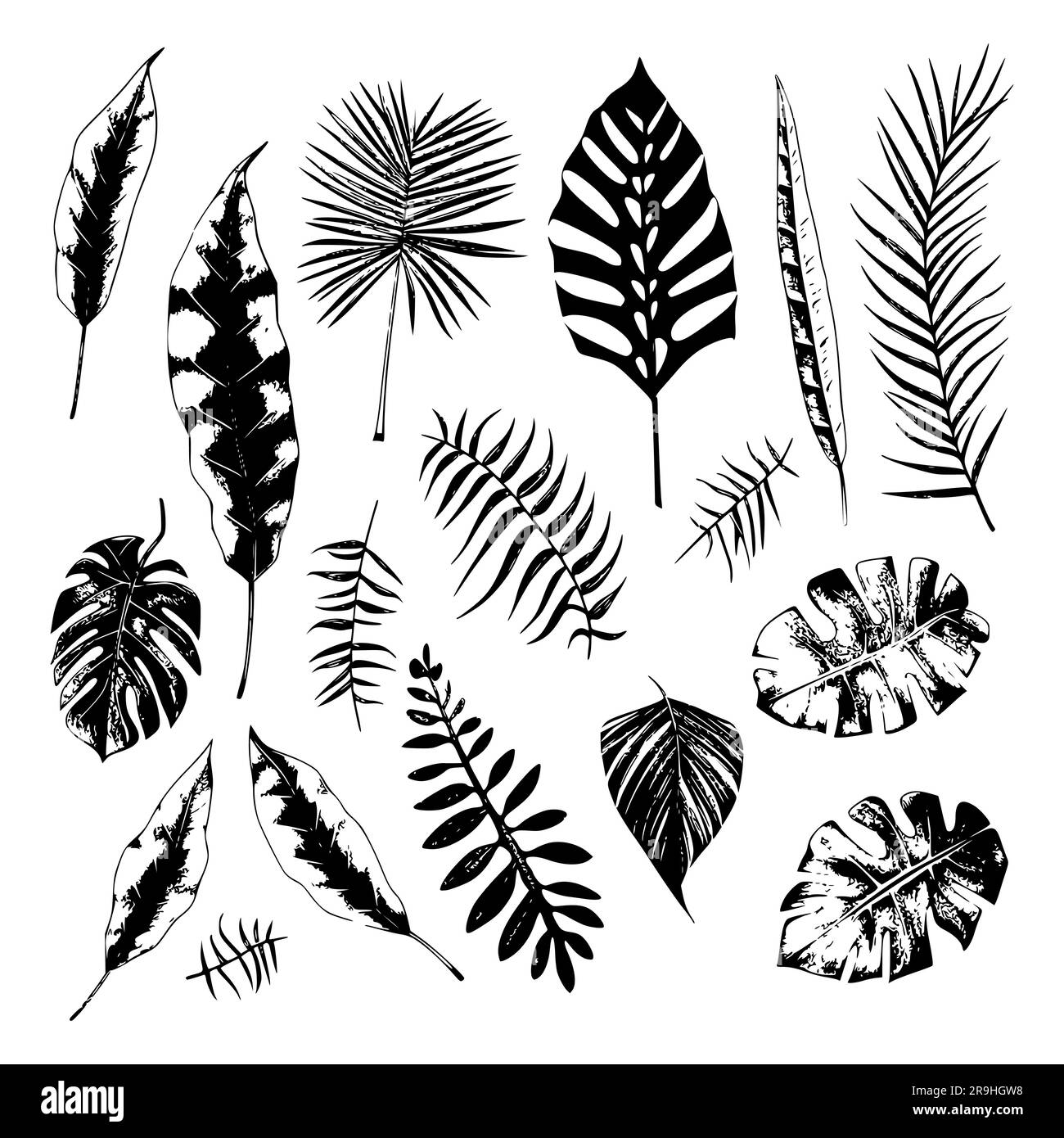 ensemble d'illustrations de plantes et de feuilles tropicales, style dessiné à la main, croquis de contour. Illustration de Vecteur