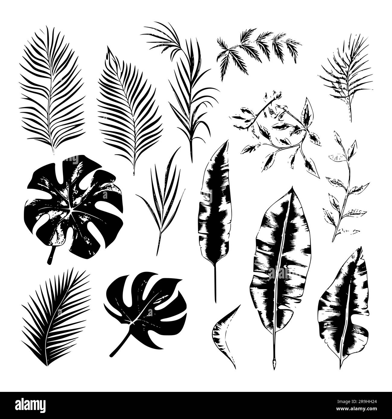 ensemble d'illustrations de plantes et de feuilles tropicales, style dessiné à la main, croquis de contour. Illustration de Vecteur
