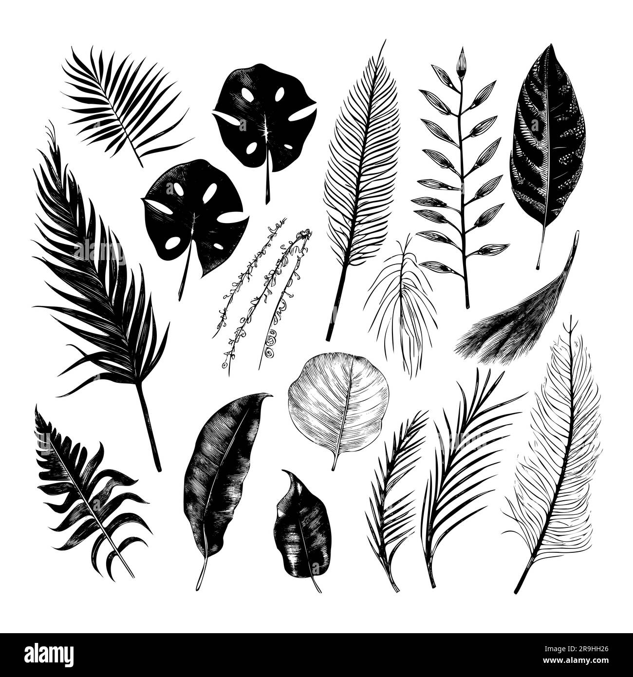 ensemble d'illustrations de plantes et de feuilles tropicales, style dessiné à la main, croquis de contour. Illustration de Vecteur