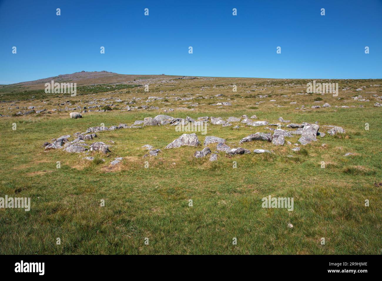 Établissement préhistorique de Merrivale, ouest de Dartmoor, Princetown, Yelverton, Devon, Angleterre, Royaume-Uni : cercle de cabane en pierre de l'âge de bronze Banque D'Images