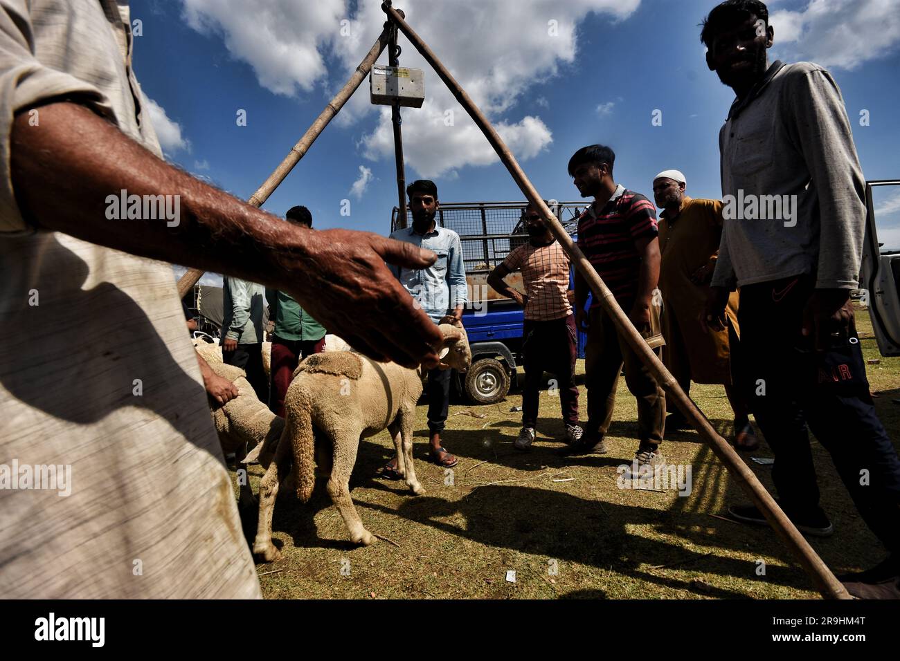 Srinagar, Inde. 27th juin 2023. Les moutons sont pesés sur un marché de fortune à Eidgah avant le festival d'Eid al-Adha sur 27 juin 2023 à Srinagar le captial d'été du Cachemire administré par l'Inde, connu sous le nom de "grand" festival, Eid al-Adha, Ou Fête du sacrifice, est célébrée chaque année par les musulmans sacrifiant divers animaux selon les traditions religieuses, y compris les vaches, les chameaux, les chèvres, et les moutons. (Photo de Mubashir Hassan/Pacific Press) Credit: Pacific Press Media production Corp./Alay Live News Banque D'Images