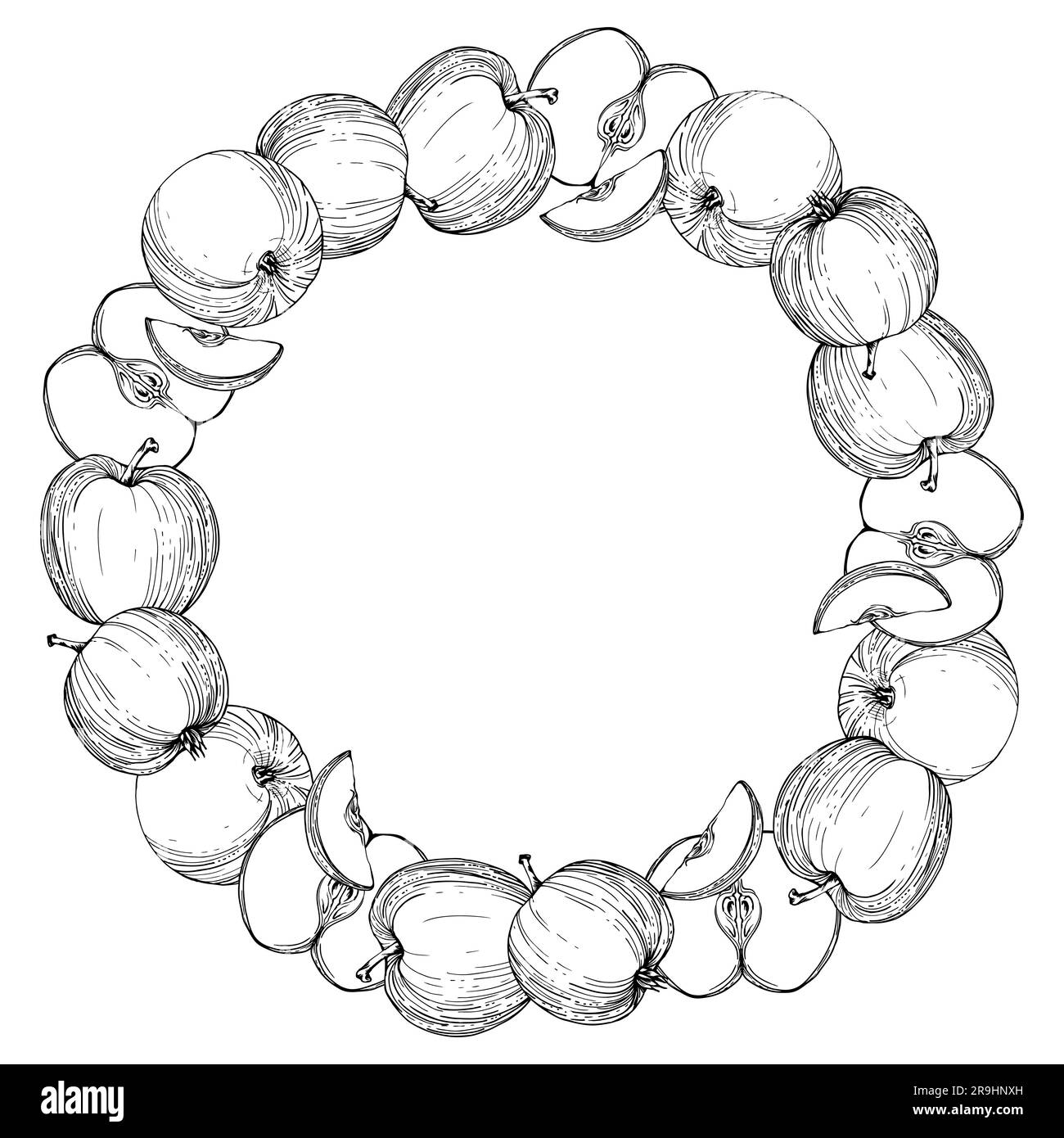 Encre tirée à la main pomme fruits mûrs, plein et tranches, monochrome vecteur, contour détaillé.couronne ronde circulaire isolée sur fond blanc.Design for Illustration de Vecteur