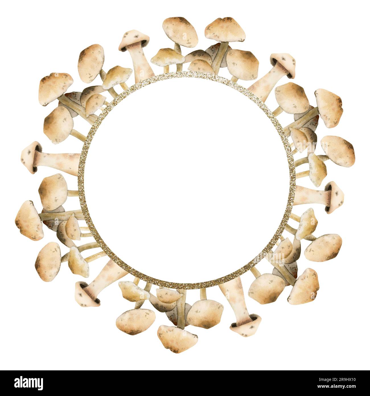 Petits champignons comestibles beiges bruns cadre rond avec bordure dorée aquarelle illustration pour les cartes à thème bois de forêt Banque D'Images