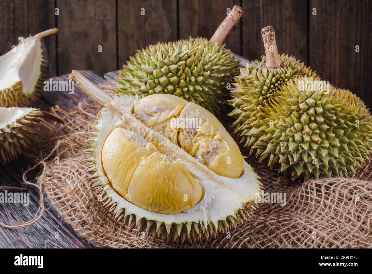 Fruits duriens coupés en deux sur une table en bois. Le durien est le fruit comestible de plusieurs espèces d'arbres appartenant au genre Durio. Banque D'Images