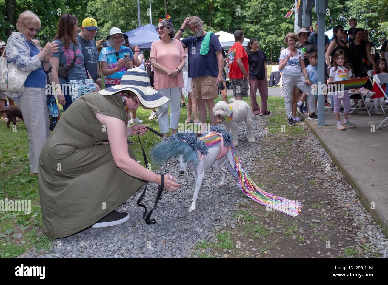 Participants à la parade de la fierté des animaux de compagnie à l'événement Pride in the Park à Lewisboro, Westchester, New York. Banque D'Images