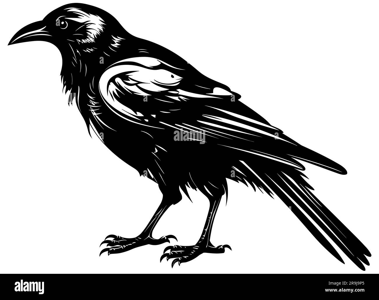 Crow noir et blanc Illustration de Vecteur