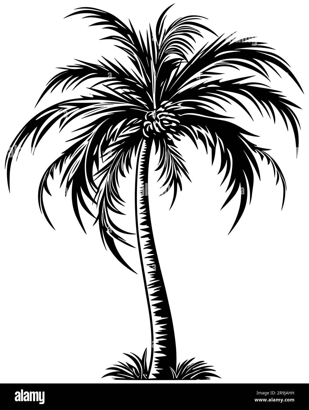 Palm Tree noir et blanc Illustration de Vecteur