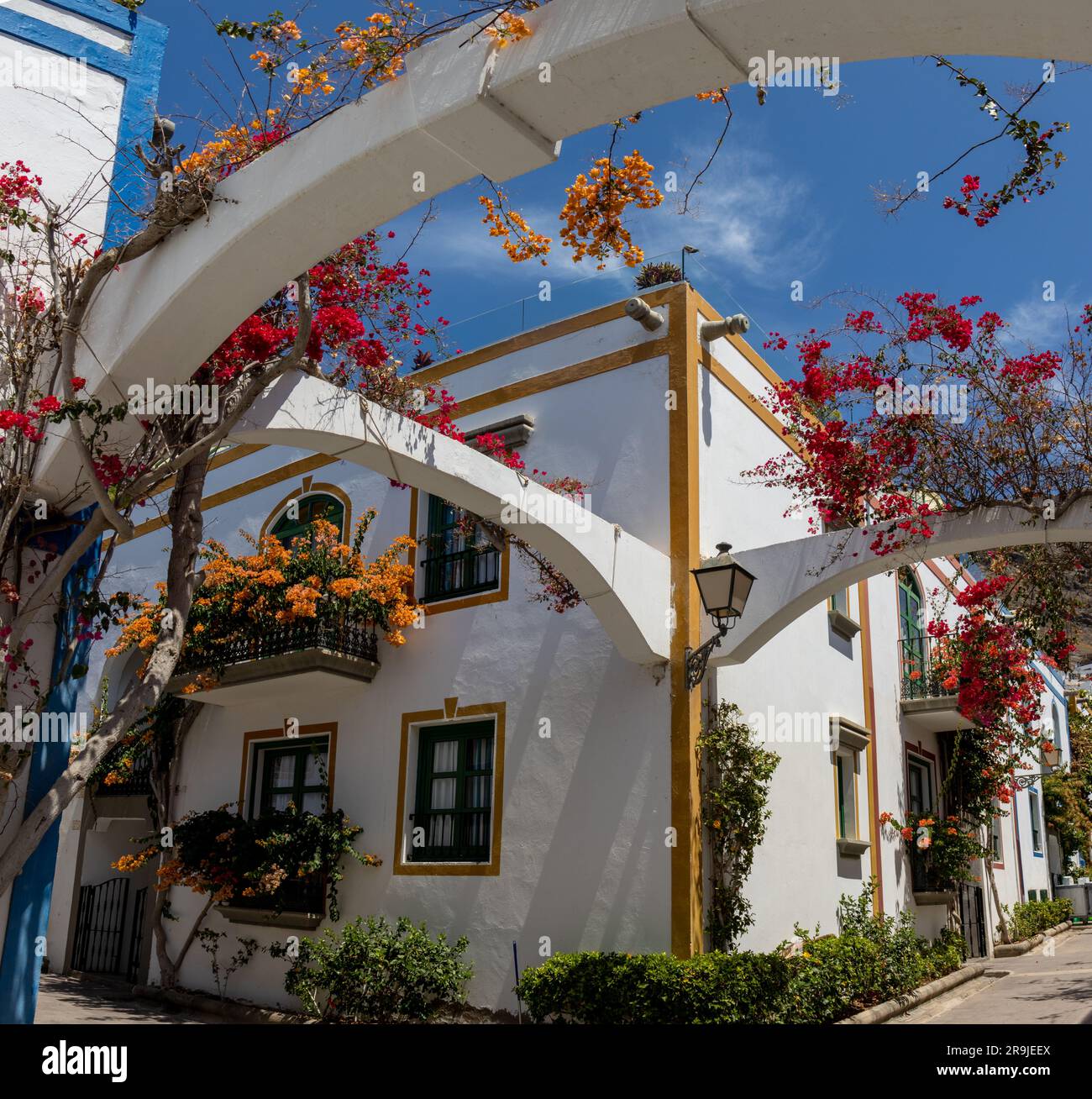Rue de Puerto de Mogán avec ses maisons blanches avec les cadres de portes et de fenêtres peintes en couleurs vives. Plusieurs bougainvilliers et arbres. Charme Banque D'Images