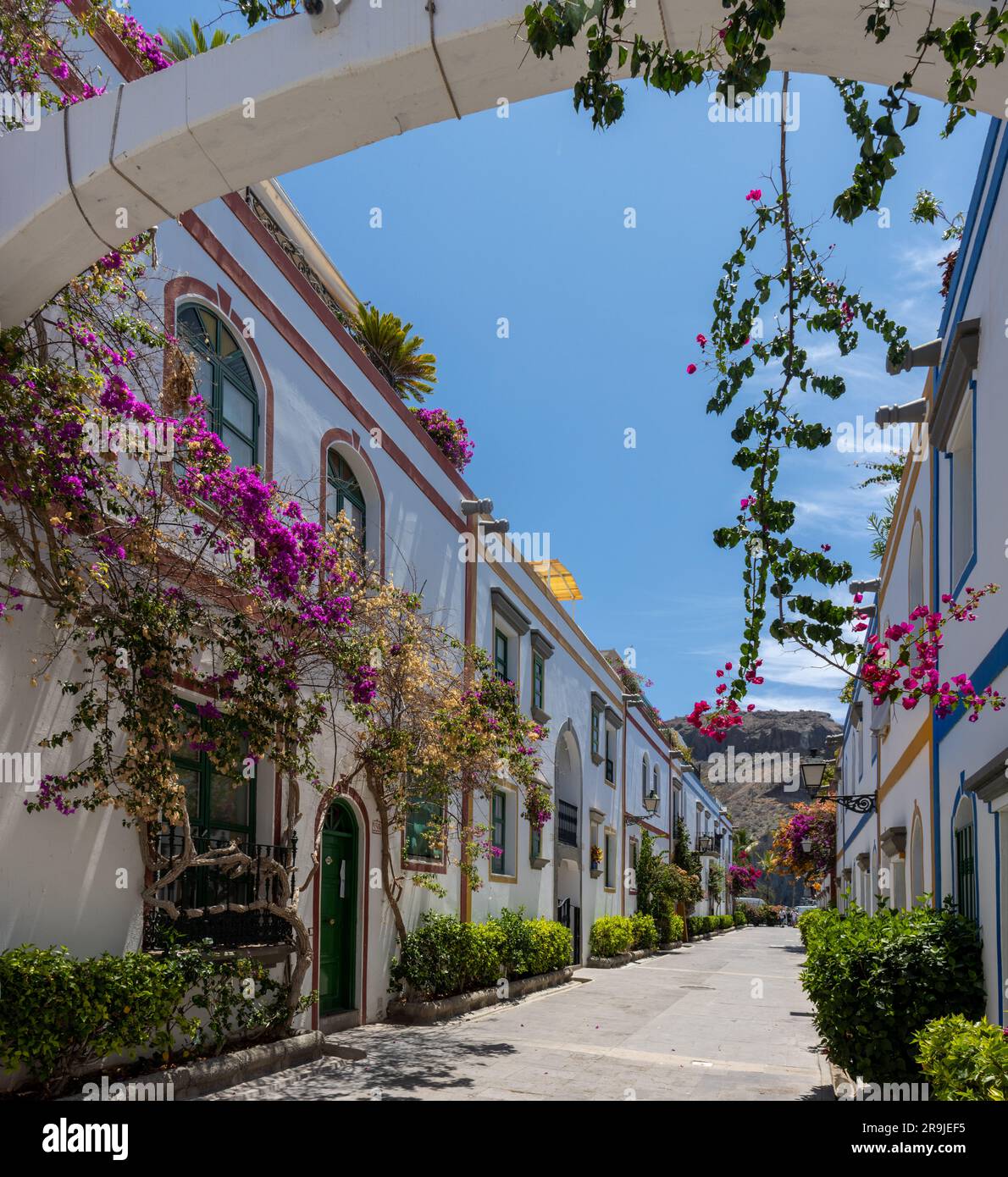Rue de Puerto de Mogán avec ses maisons blanches avec les cadres de portes et de fenêtres peintes en couleurs vives. Plusieurs bougainvilliers et arbres. Charme Banque D'Images