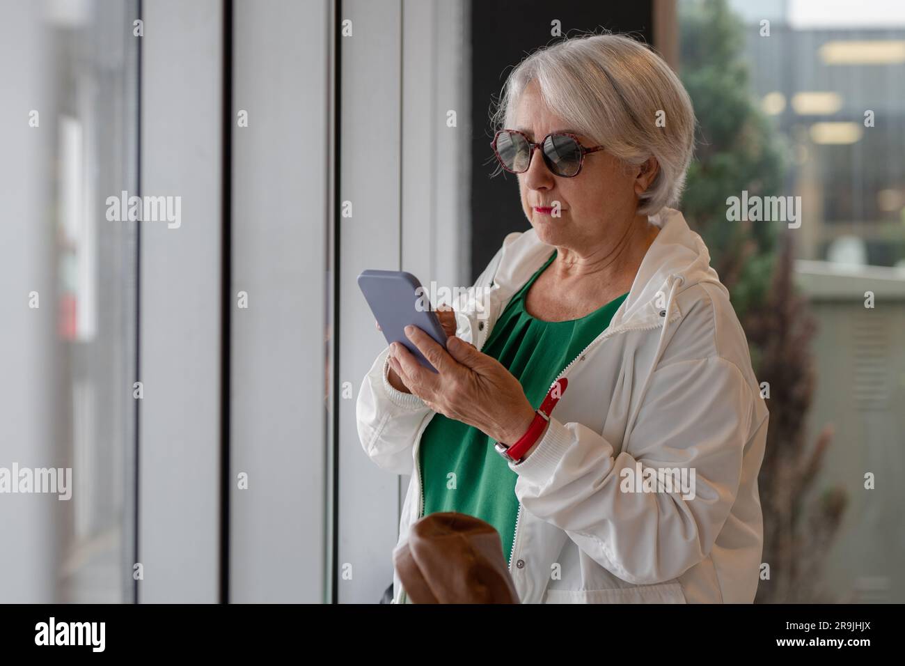 Femme d'âge concentrée avec des cheveux courts gris dans des lunettes de soleil surfer sur Internet sur smartphone tout en se tenant près de la fenêtre Banque D'Images