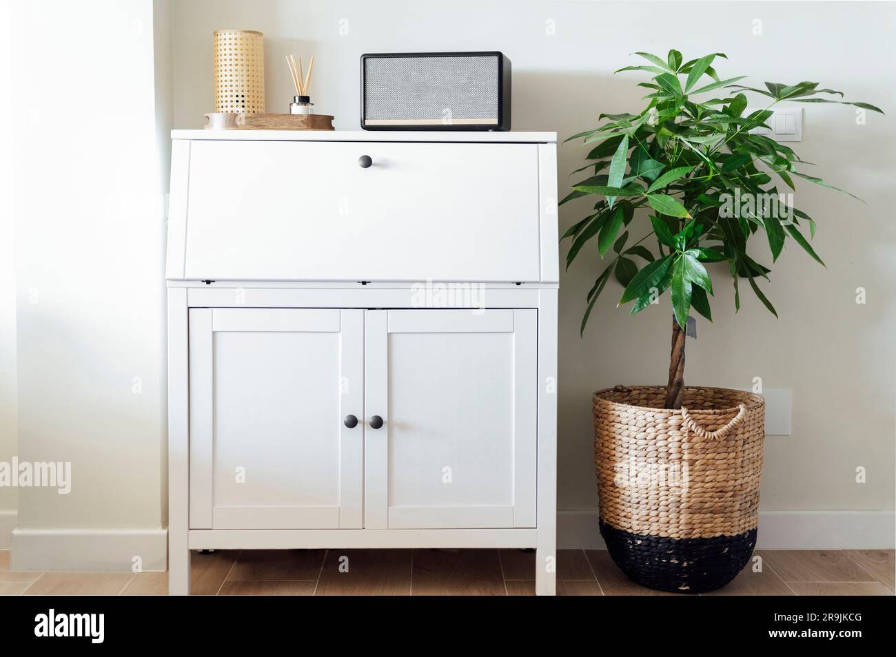 Intérieur de la pièce avec plancher laminé et armoire en bois blanc avec étagère et portes coulissantes placées près de l'usine en pot Banque D'Images