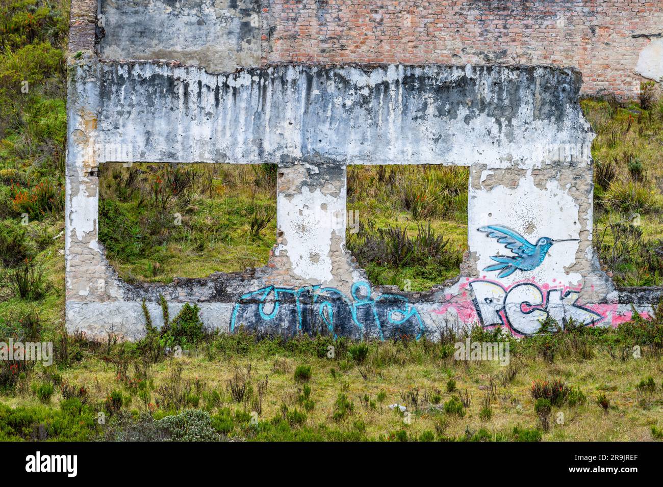 Murs décorés d'oiseaux sur une maison abandonnée. Colombie, Amérique du Sud. Banque D'Images