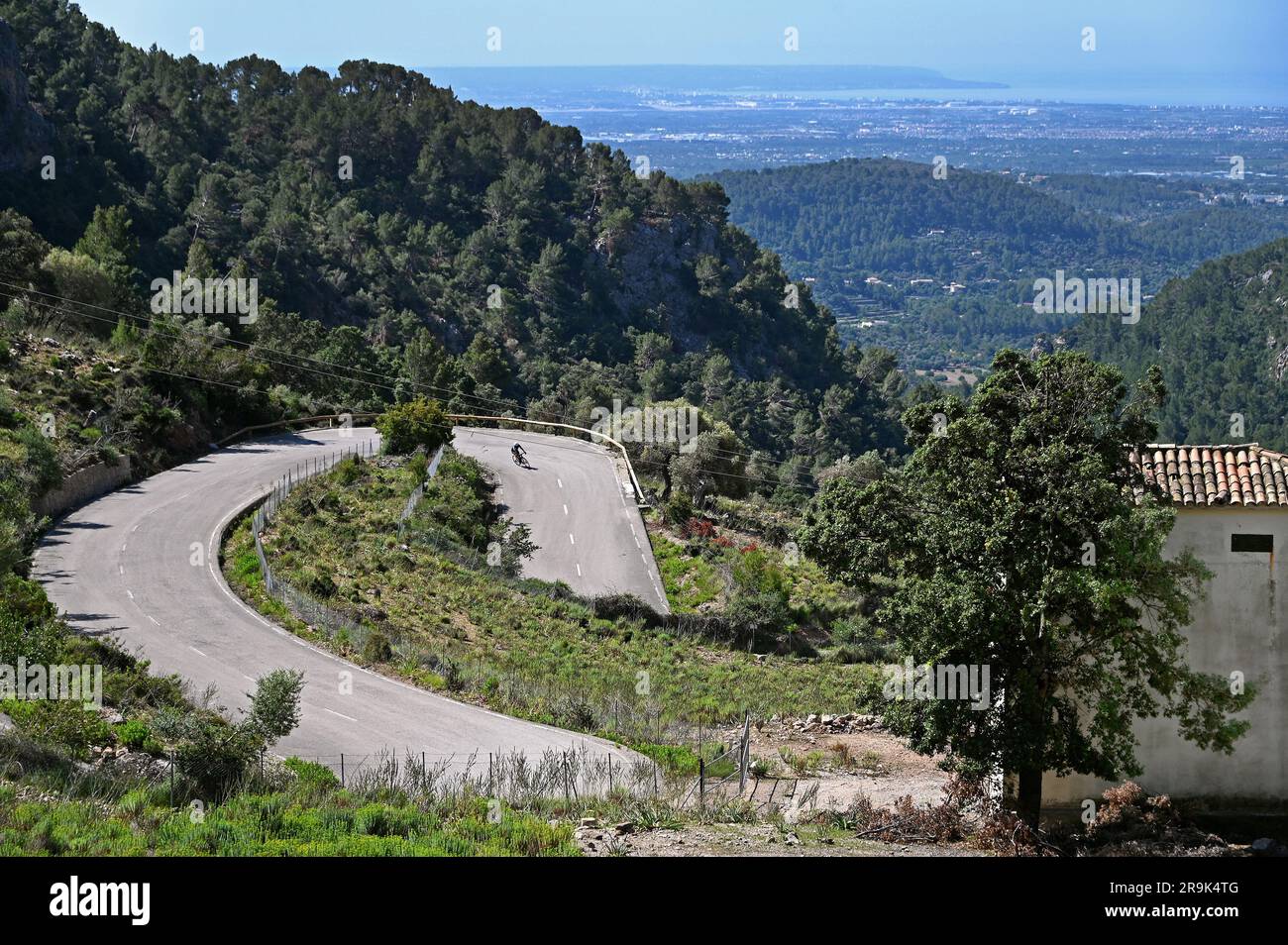 Cycliste sur le Coll de Soller dans les montagnes Tramuntana, Majorque, Espagne Banque D'Images