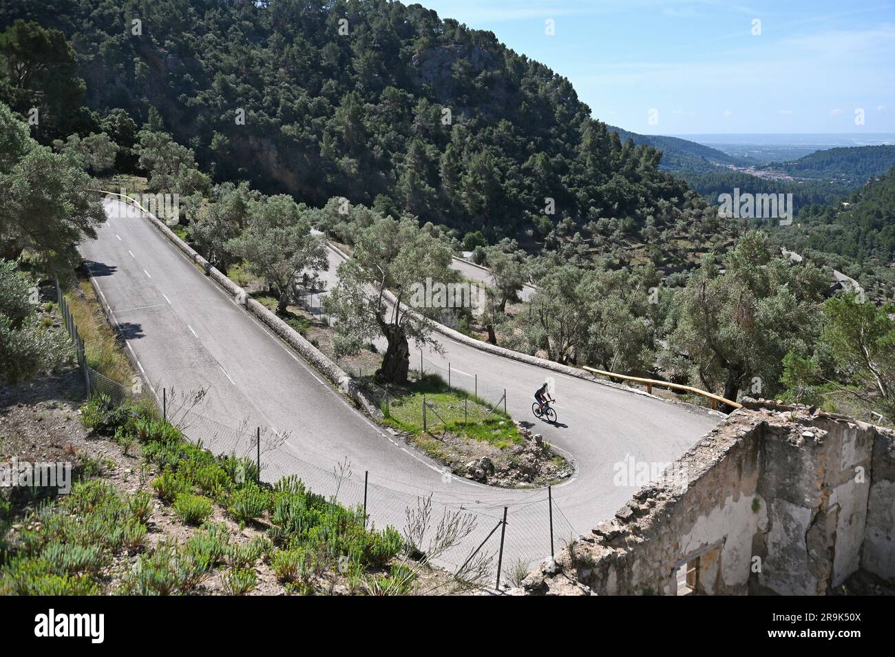 Cycliste sur le Coll de Soller dans les montagnes Tramuntana, Majorque, Espagne Banque D'Images