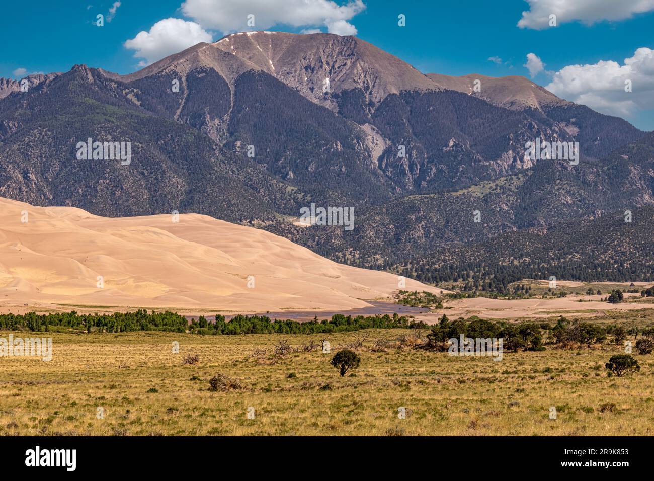 De superbes dunes de sable dans la lumière du matin contre les montagnes Sangre de Cristo Banque D'Images