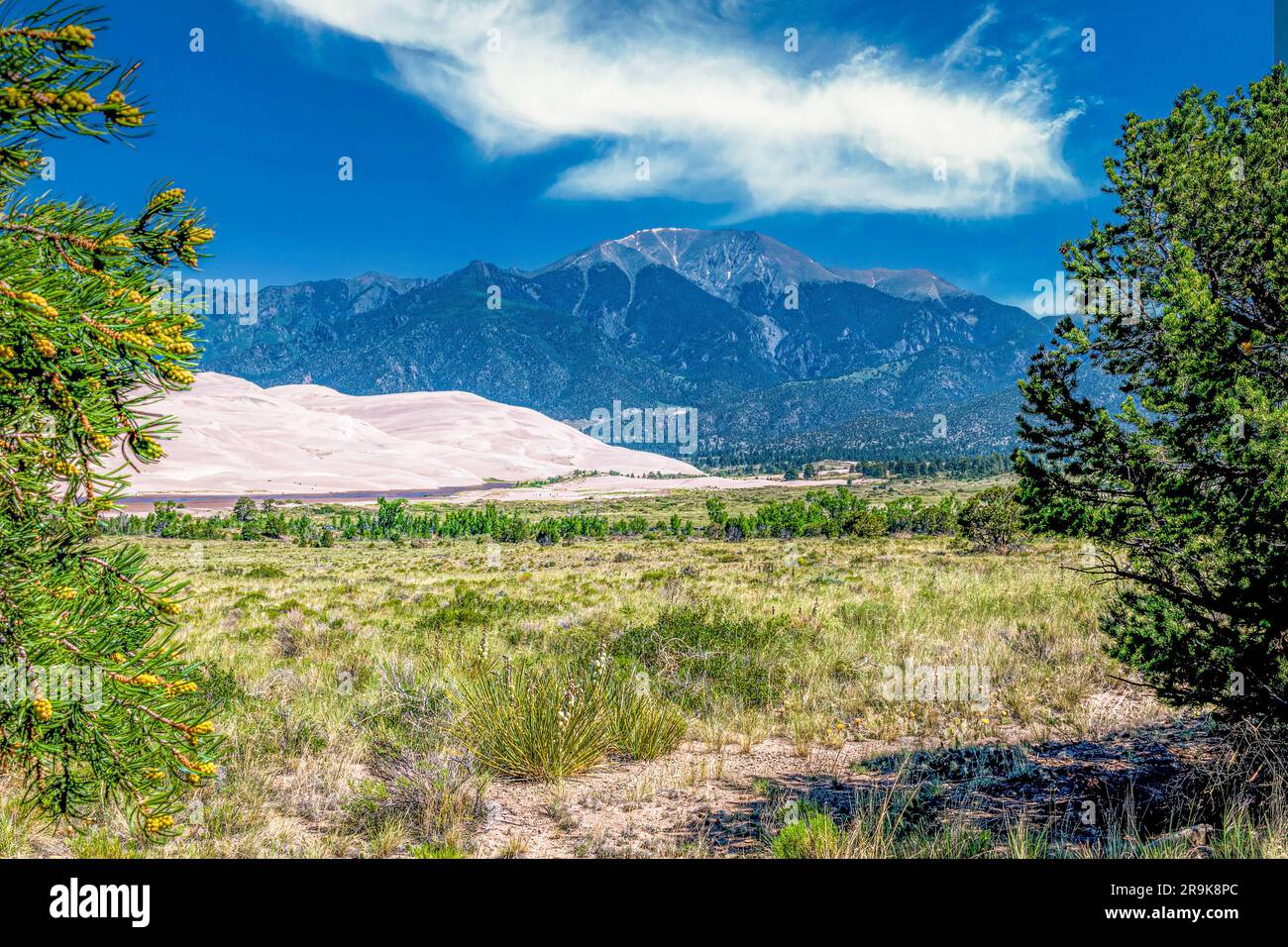De superbes dunes de sable dans la lumière du matin contre les montagnes Sangre de Cristo Banque D'Images