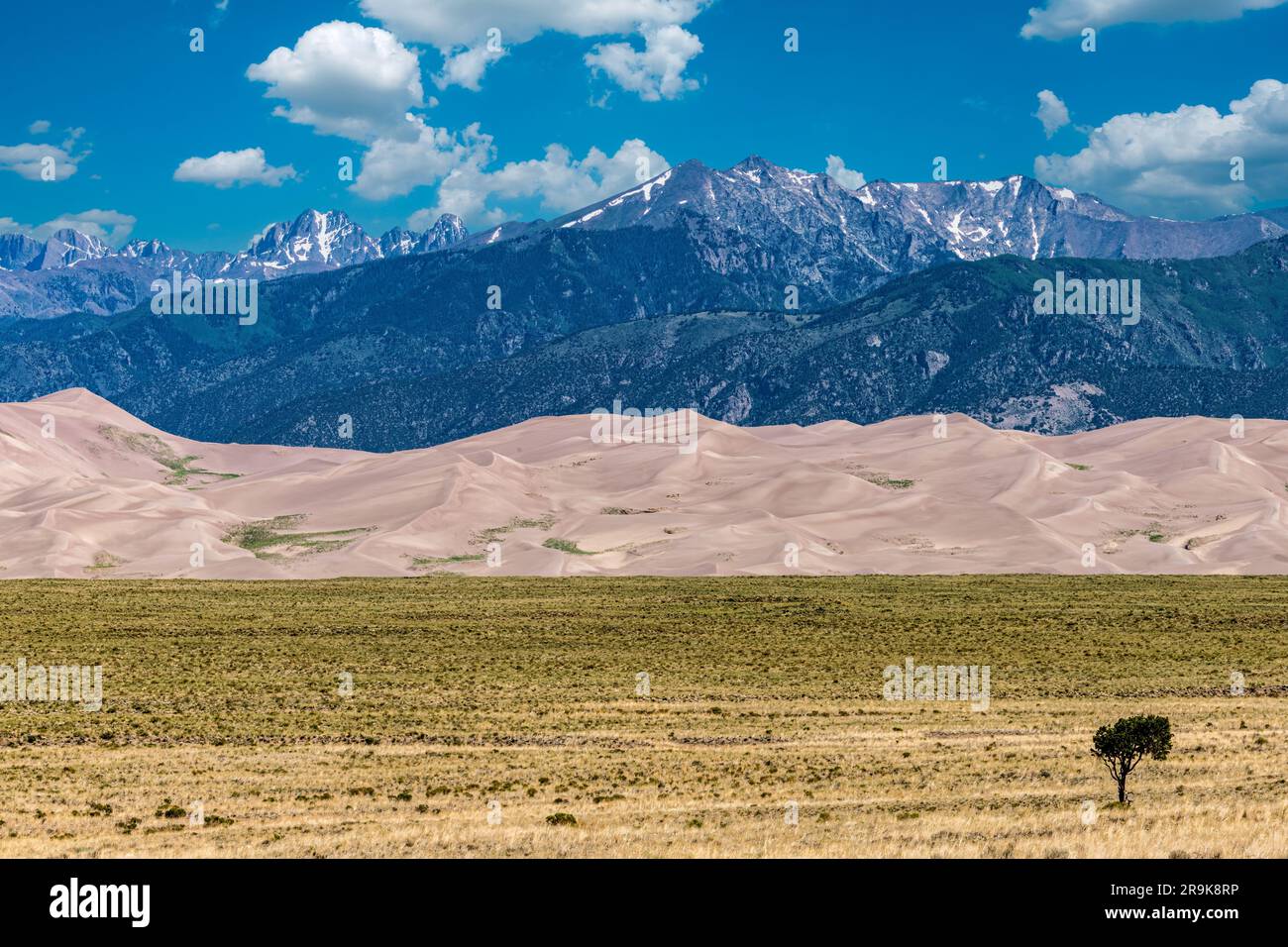 De superbes dunes de sable dans la lumière du matin contre les montagnes Sangre de Cristo Banque D'Images