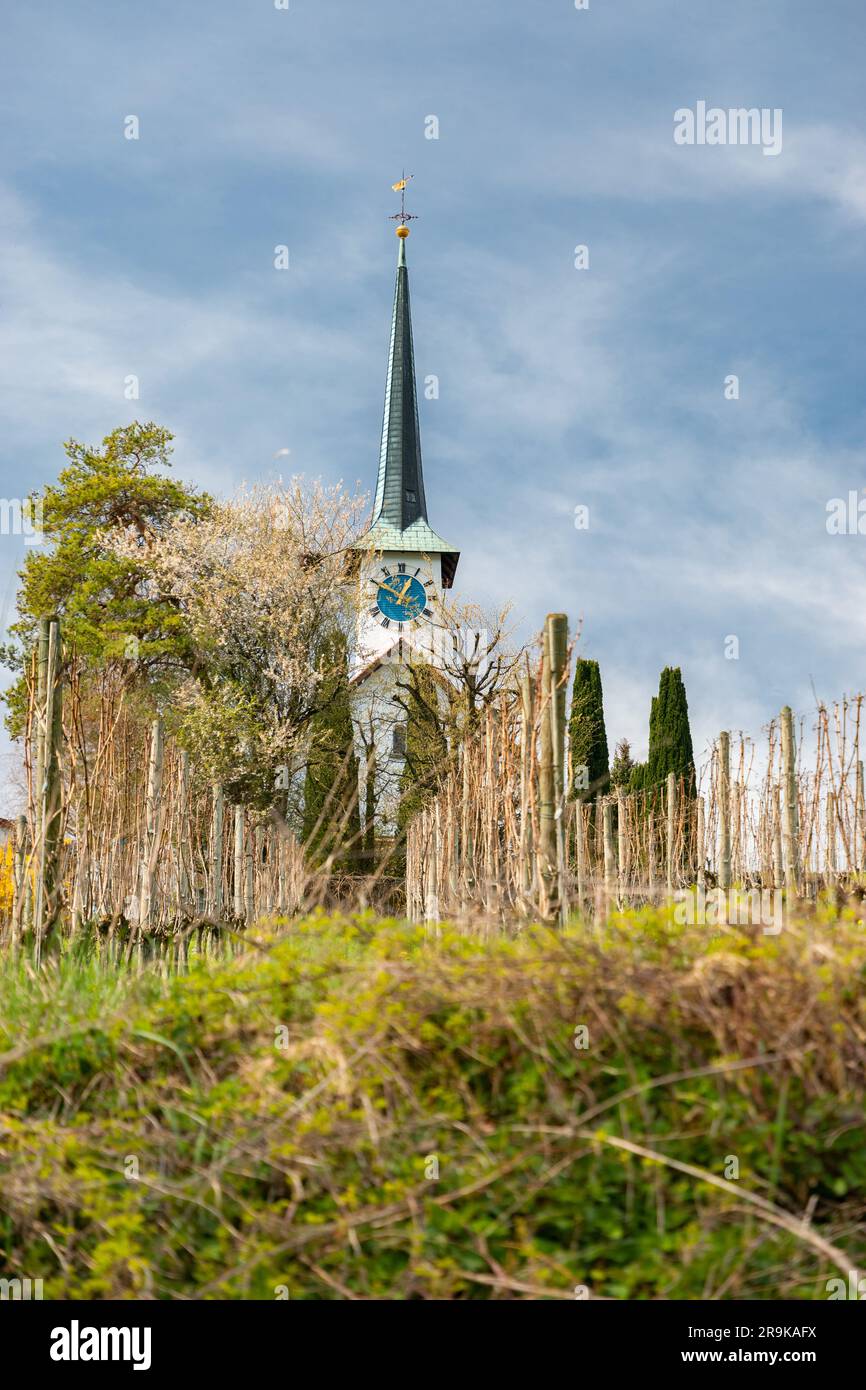 Seegraeben, canton de Zurich, Suisse, 10 avril 2023 petite église sur le sommet d'une colline verte par une journée ensoleillée Banque D'Images