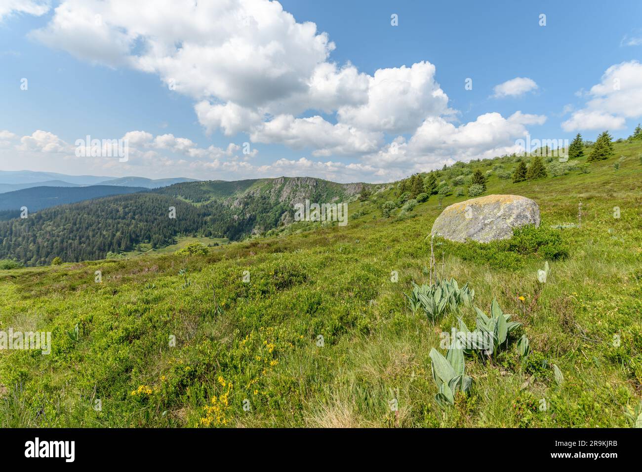 Paysage des hautes montagnes des Vosges près de la route de la crête au printemps. Collection europeenne d'Alsace, Grand est, France, Europe. Banque D'Images