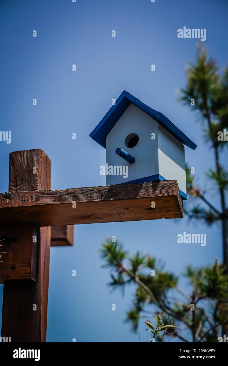 boîte de nidification faite maison, située au-dessus d'une clôture en bois Banque D'Images