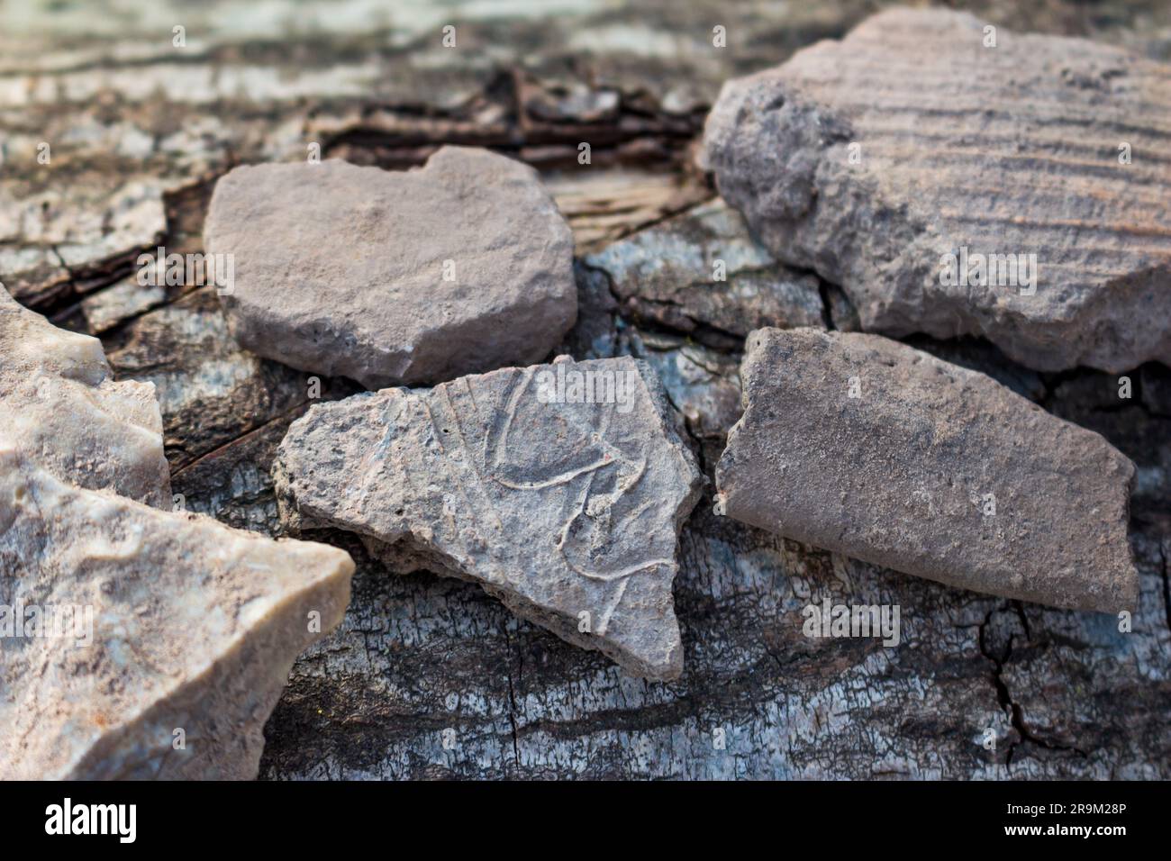 Fragments de navires en céramique trouvés dans le sol à l'emplacement d'un ancien règlement, objets archéologiques. Région de Kaluga, Russie Banque D'Images