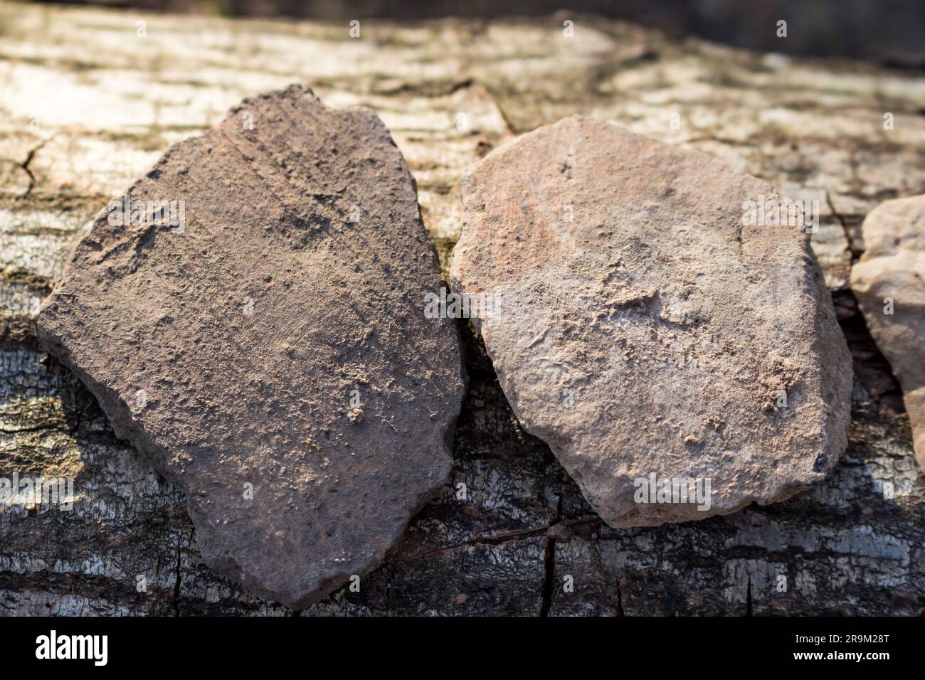 Fragments de navires en céramique trouvés dans le sol à l'emplacement d'un ancien règlement, objets archéologiques. Région de Kaluga, Russie Banque D'Images