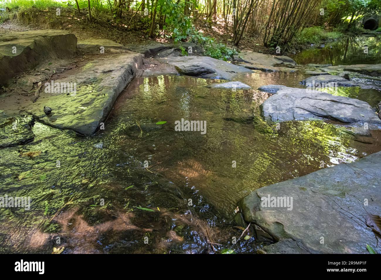 Ruisseau Trailside à McDaniel Farm Park à Duluth, en Géorgie. (ÉTATS-UNIS) Banque D'Images