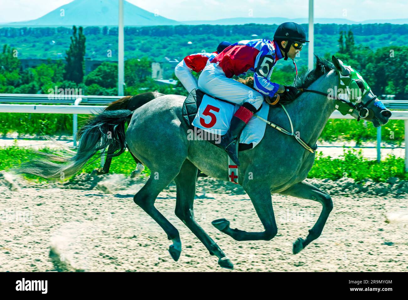 Commencez la course à cheval à Pyatigorsk. Banque D'Images