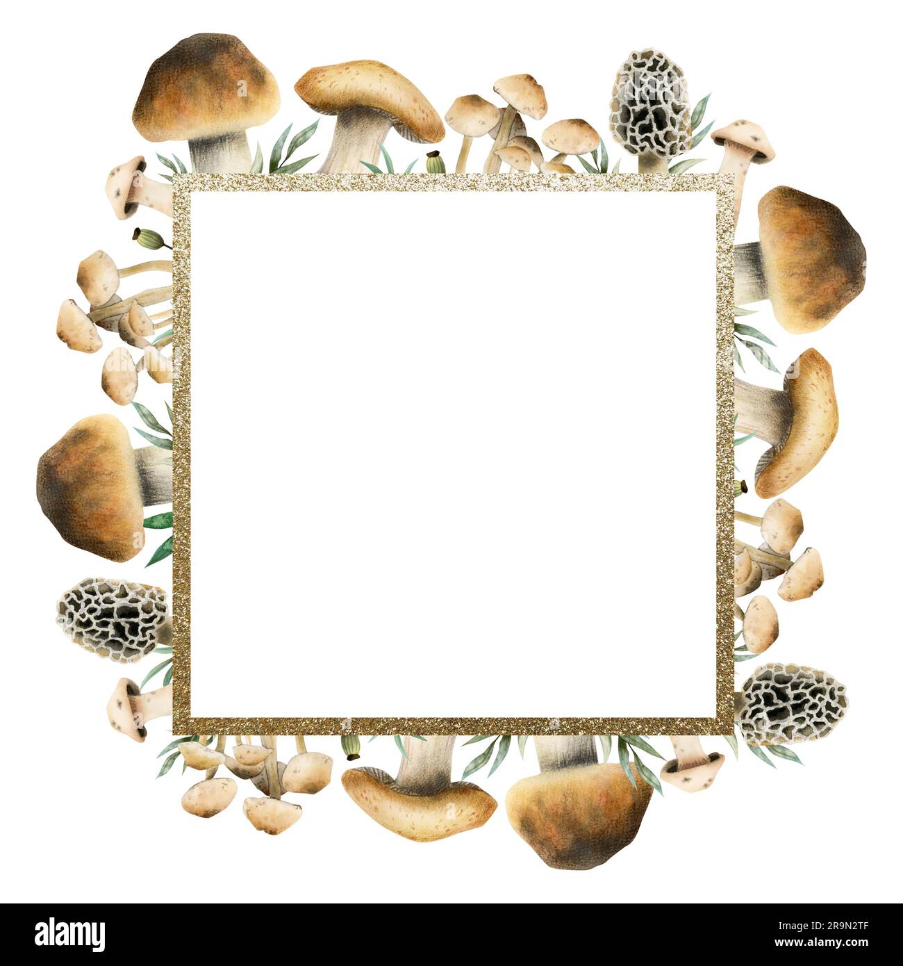 Modèle de cadre carré de champignons comestibles aquarelle avec bordure
