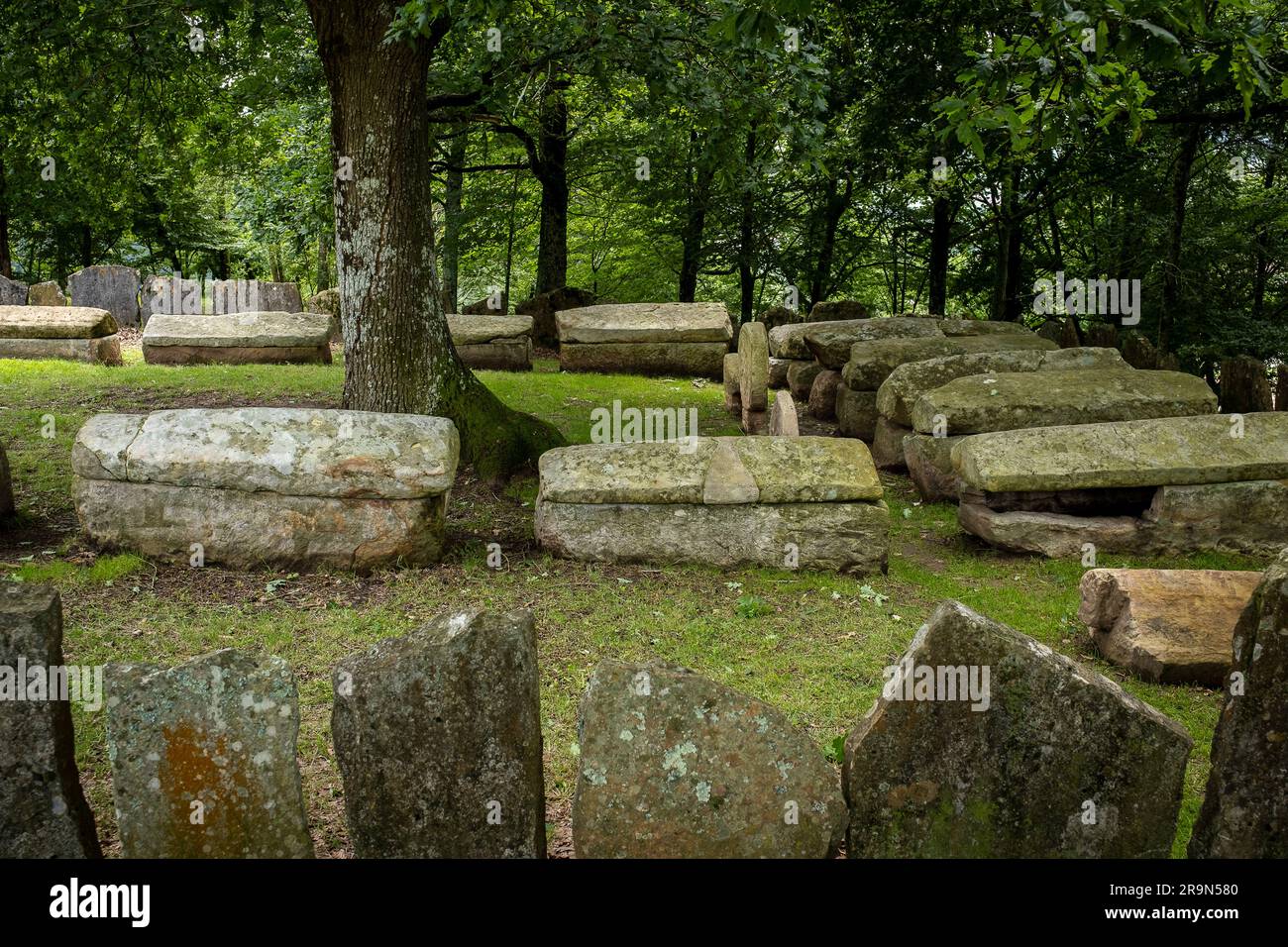 Necrópolis de San Adrián de Argiñeta, Ermita de San Adrián, Elorrio, Vizcaya, País Vasco, España Banque D'Images