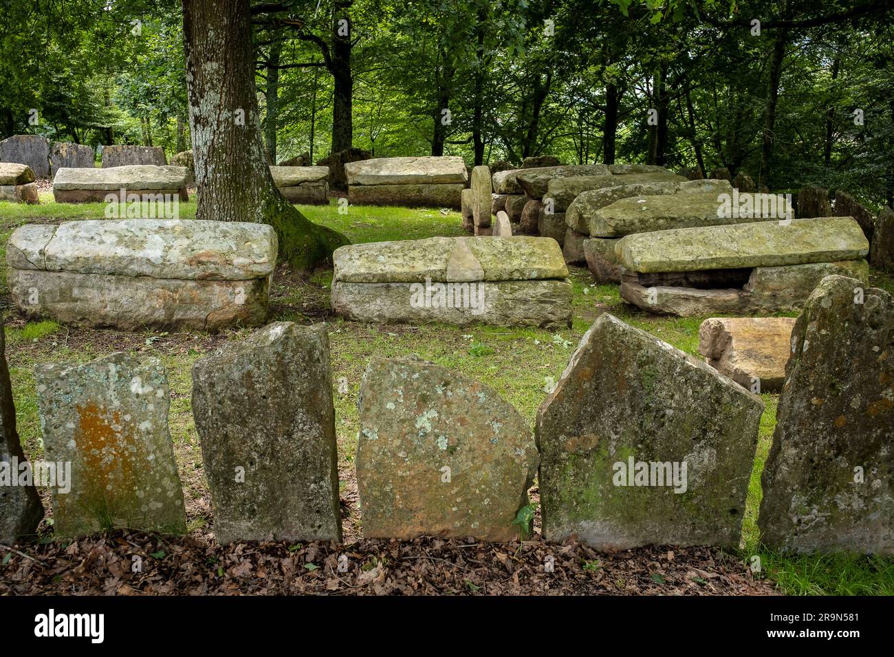 Necrópolis de San Adrián de Argiñeta, Ermita de San Adrián, Elorrio, Vizcaya, País Vasco, España Banque D'Images