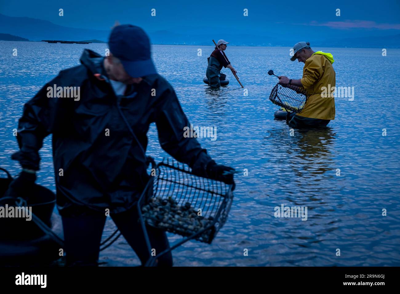 Pêche à la shellfishing, les travailleurs collectant des