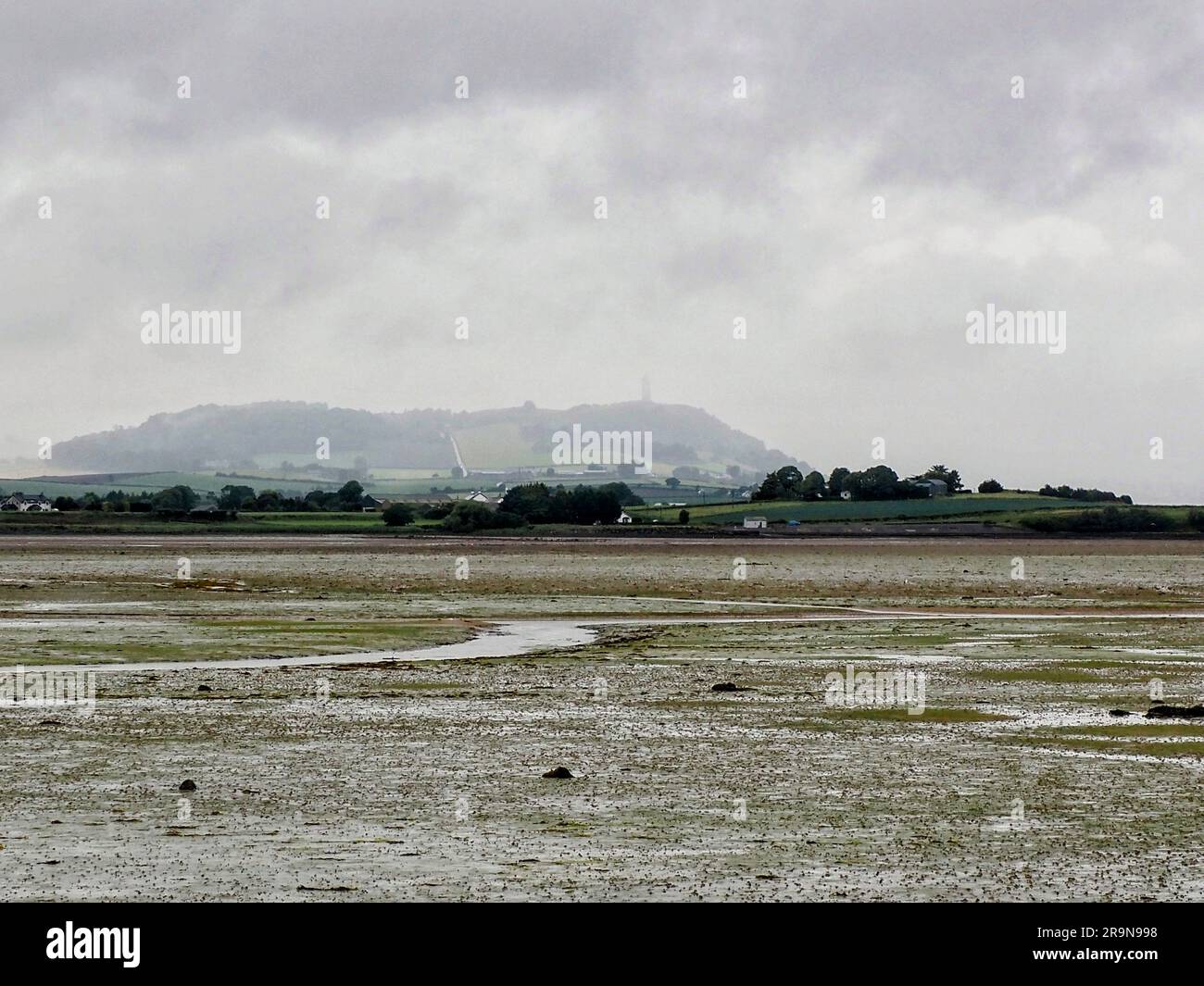 Vue sur Scrabo par une journée brumeuse Banque D'Images