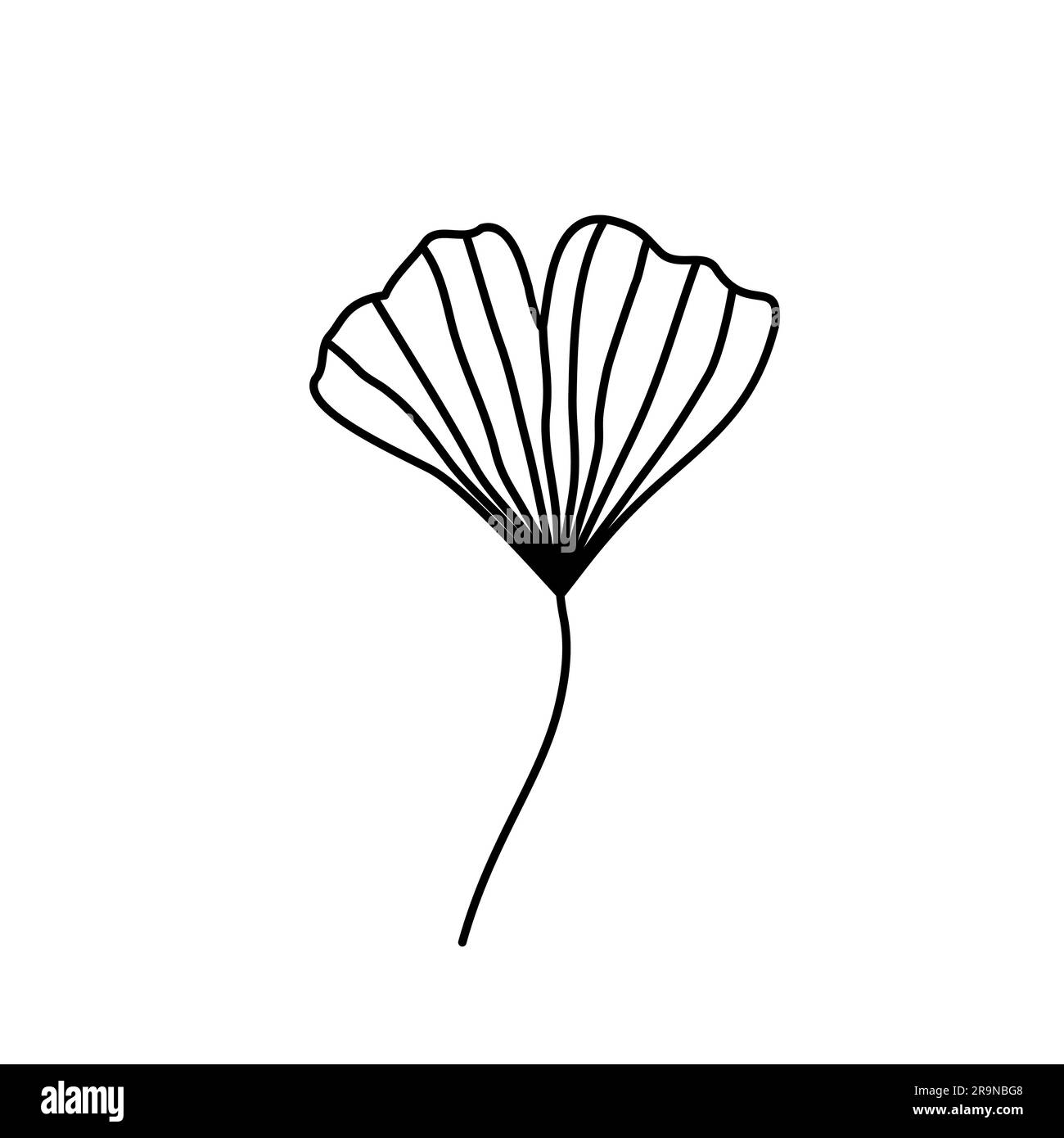Illustration botanique vectorielle avec feuille de Ginkgo biloba dessinée à la main isolée sur fond blanc. Emblème, icône, badge ou élément de logo Illustration de Vecteur