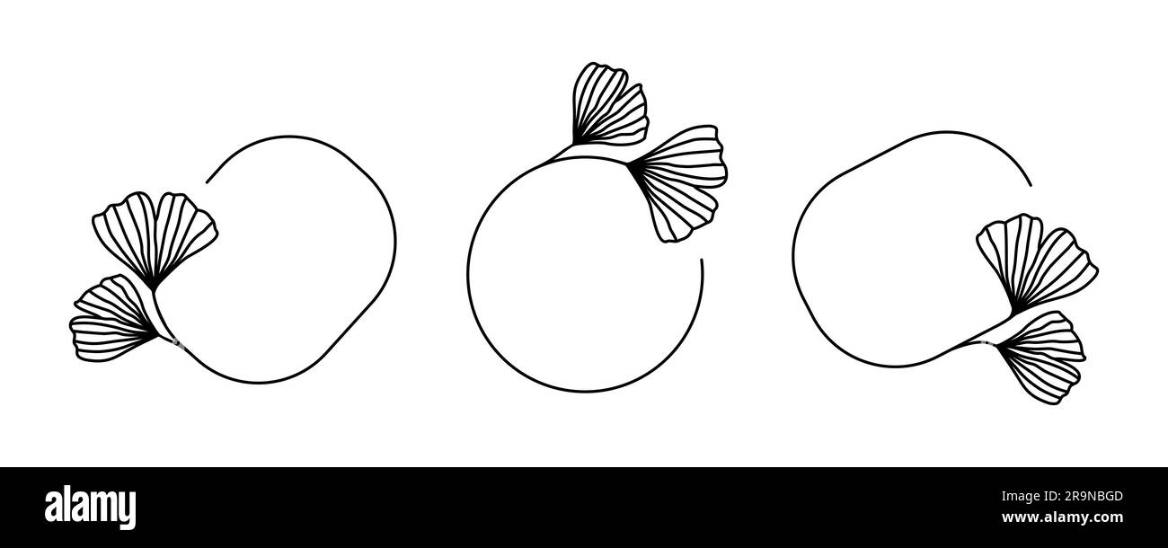 Ensemble vectoriel de cadres noirs avec feuilles de Ginkgo Biloba dans un style linéaire tendance isolé sur fond blanc. Emblème, badge, icône ou modèle de logo pour cos Illustration de Vecteur