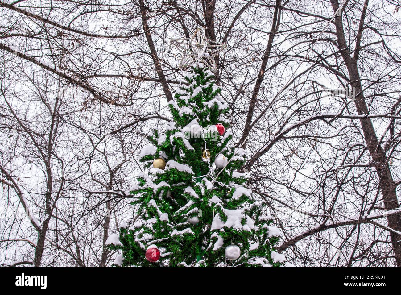 Magnifique sapin de Noël pendant la journée dans la rue Banque D'Images