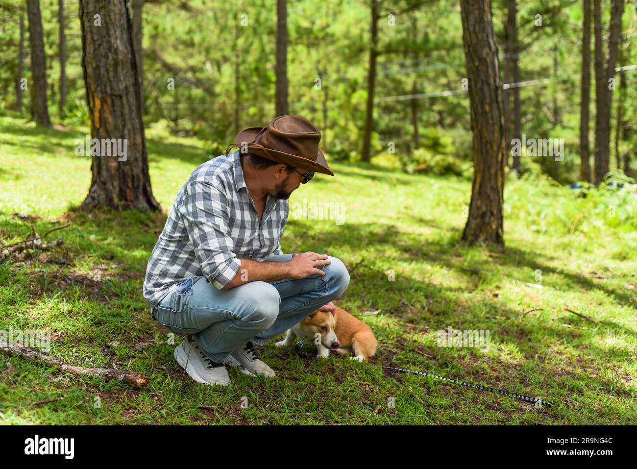 Jeune homme en chapeau se touchant et jouant avec son chien de corgi en forêt Banque D'Images