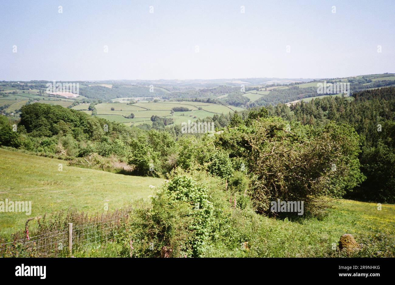 High Bickington, Devon, Angleterre, Royaume-Uni. Banque D'Images