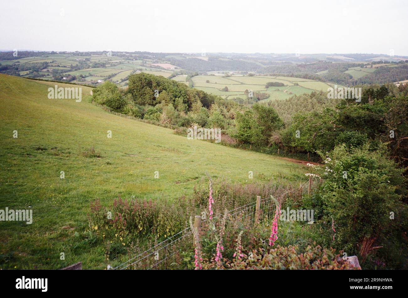 High Bickington, Devon, Angleterre, Royaume-Uni. Banque D'Images