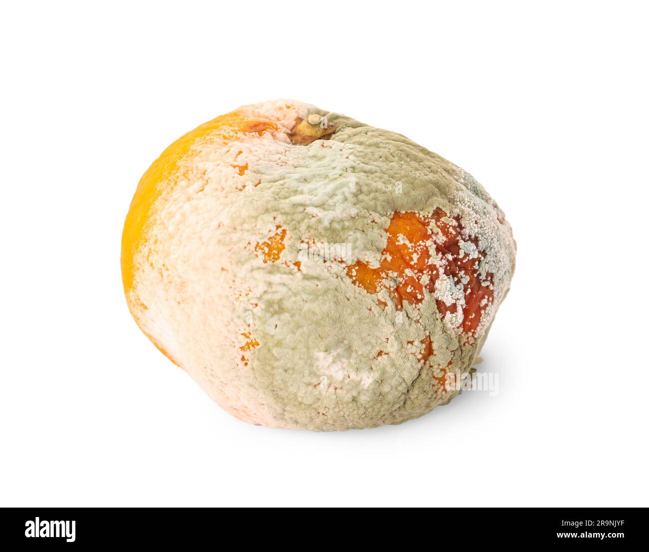 Mandarine recouverte de moisissure isolée sur blanc Banque D'Images