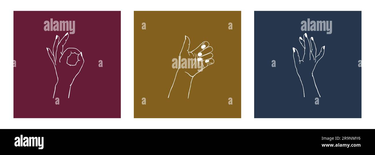 Ensemble vectoriel de cartes avec différents gestes isolés. Collection de mains de femmes dans différentes positions pour le logo, l'emblème, la marque Illustration de Vecteur