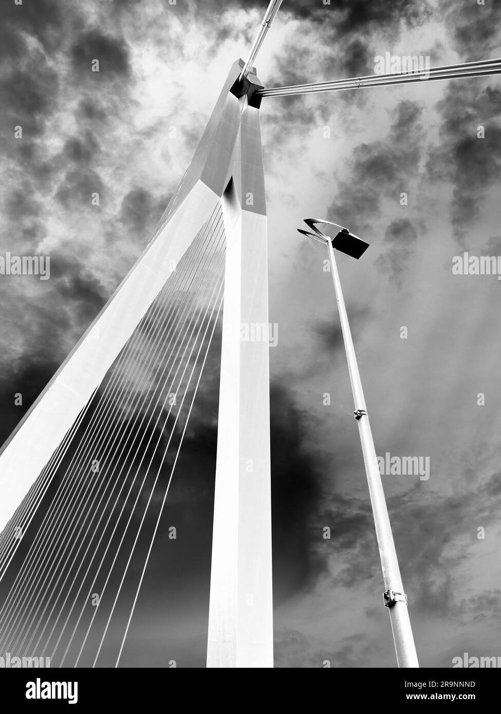 Nommé d'après le grand philosophe et humaniste hollandais de la renaissance, le magnifique nouveau pont suspendu de Rotterdam ajoute considérablement à la ville Banque D'Images