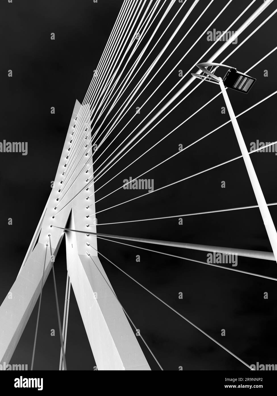 Nommé d'après le grand philosophe et humaniste hollandais de la renaissance, le magnifique nouveau pont suspendu de Rotterdam ajoute considérablement à la ville Banque D'Images