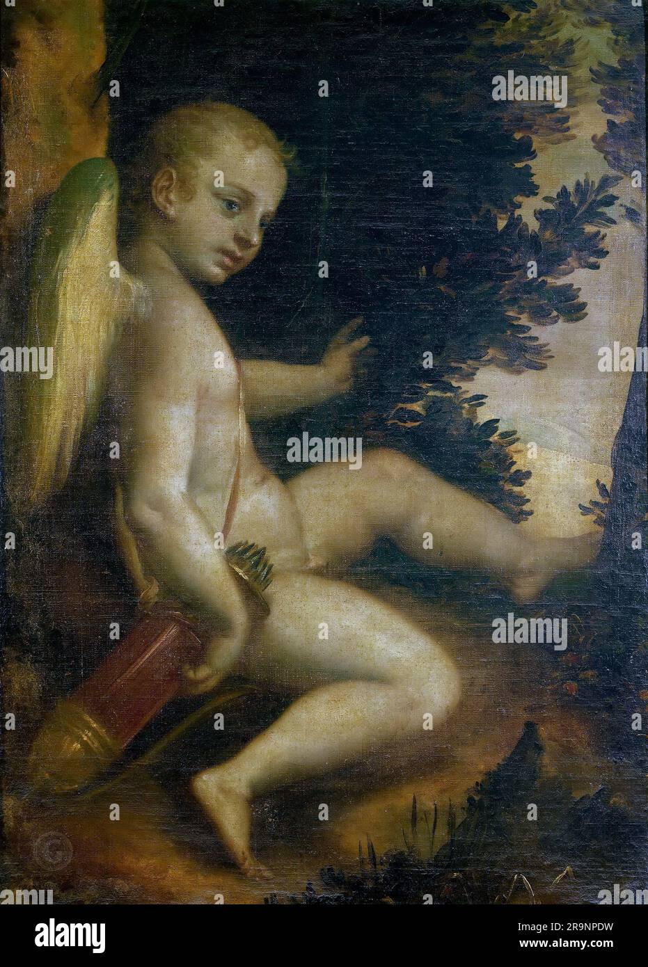 Luca Cambiaso – Cupid reposant 1560-70. Banque D'Images