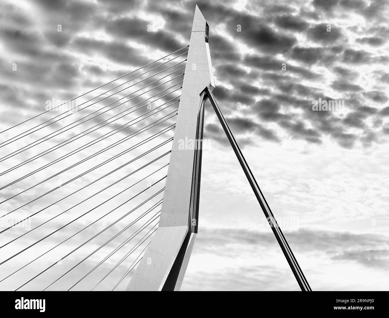 Nommé d'après le grand philosophe et humaniste hollandais de la  renaissance, le magnifique nouveau pont suspendu de Rotterdam ajoute  considérablement à la ville Photo Stock - Alamy
