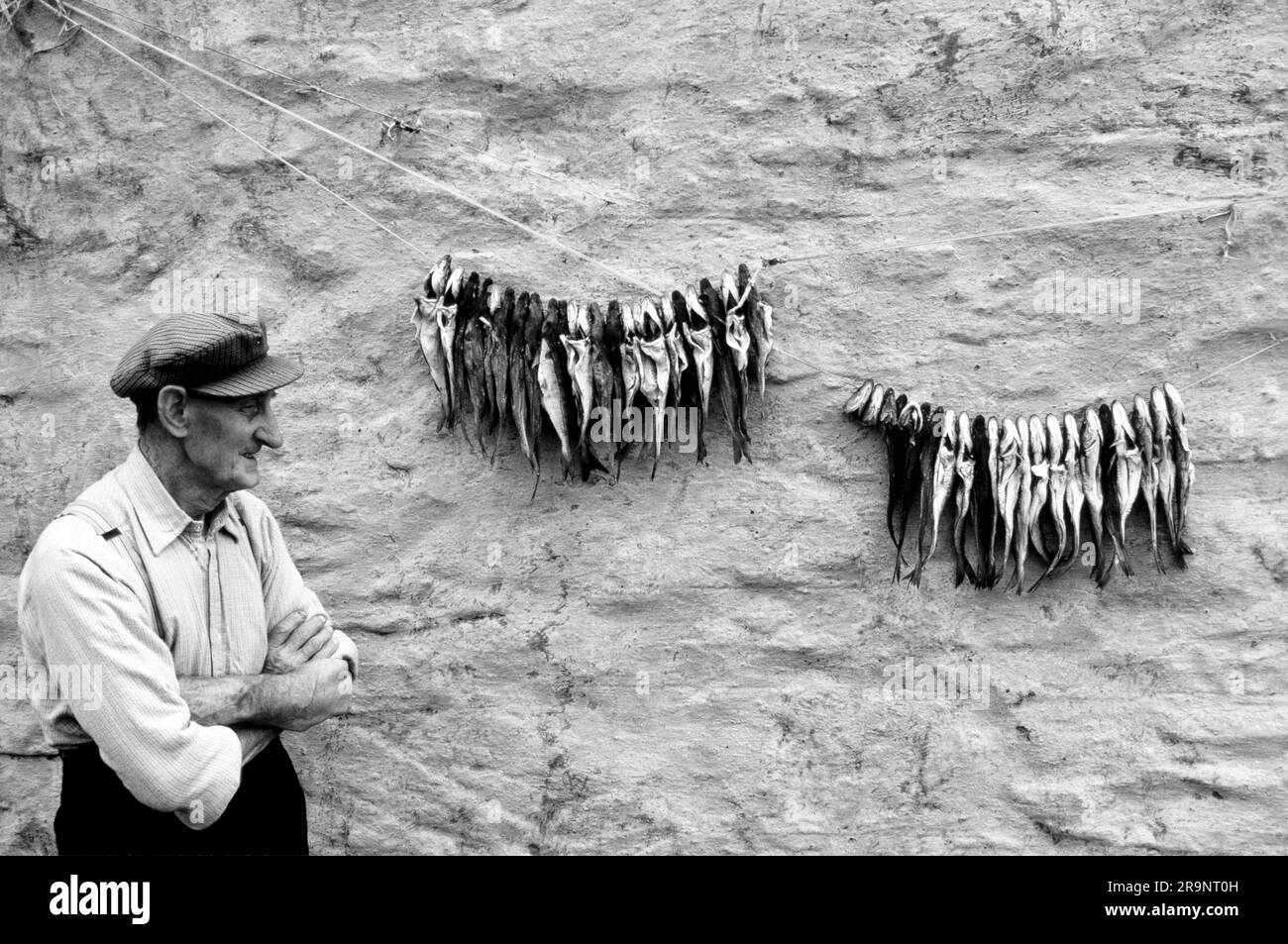 Croft, un pêcheur qui pendait sur son mur arrière de croft, il sèche. Et puis sera entreposé loin et mangé à une date ultérieure. Shetlands Mainland, îles Shetland, Écosse, vers 1979. ROYAUME-UNI 1970S HOMER SYKES Banque D'Images