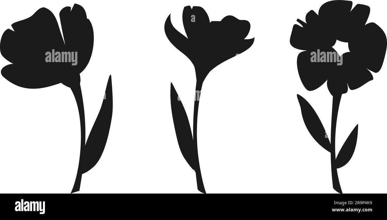 Fleurs. Silhouettes noires de fleurs isolées sur fond blanc. Ensemble d'illustrations vectorielles Illustration de Vecteur