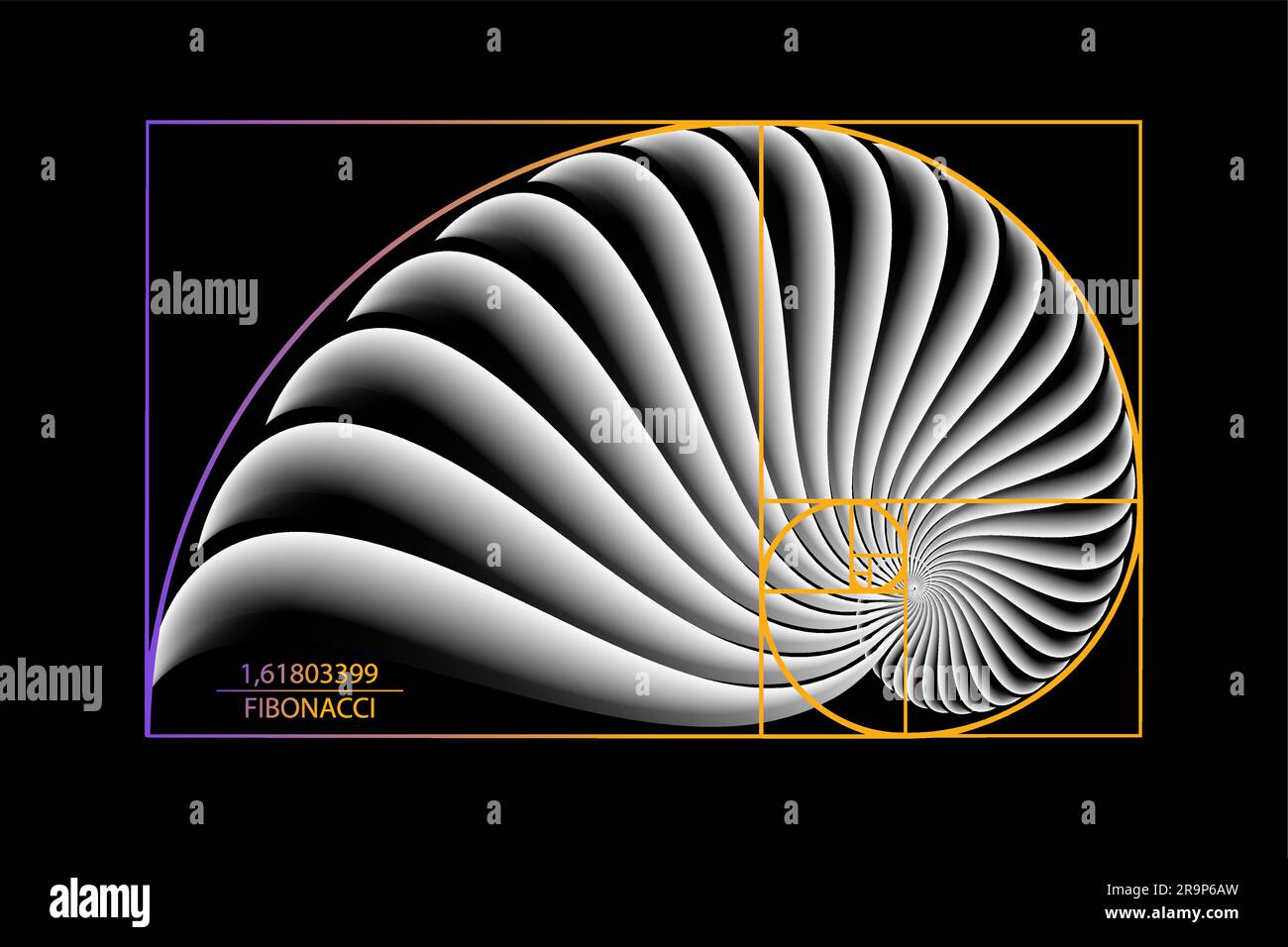 Fibonacci Sequence Golden ratio. Formes géométriques en spirale. Spirale d'escargot. Enveloppe de mer de cercles blancs. Modèle de logo de géométrie sacrée. Vecteur isolé Illustration de Vecteur