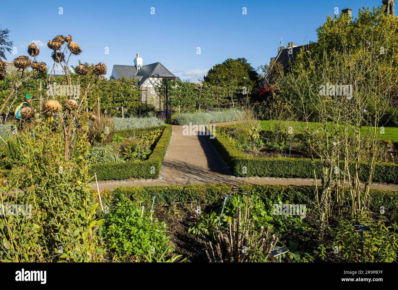 Cowbridge Physic Garden dans la vallée de Glamourgan, au sud du pays de Galles, le jour ensoleillé d'octobre Banque D'Images