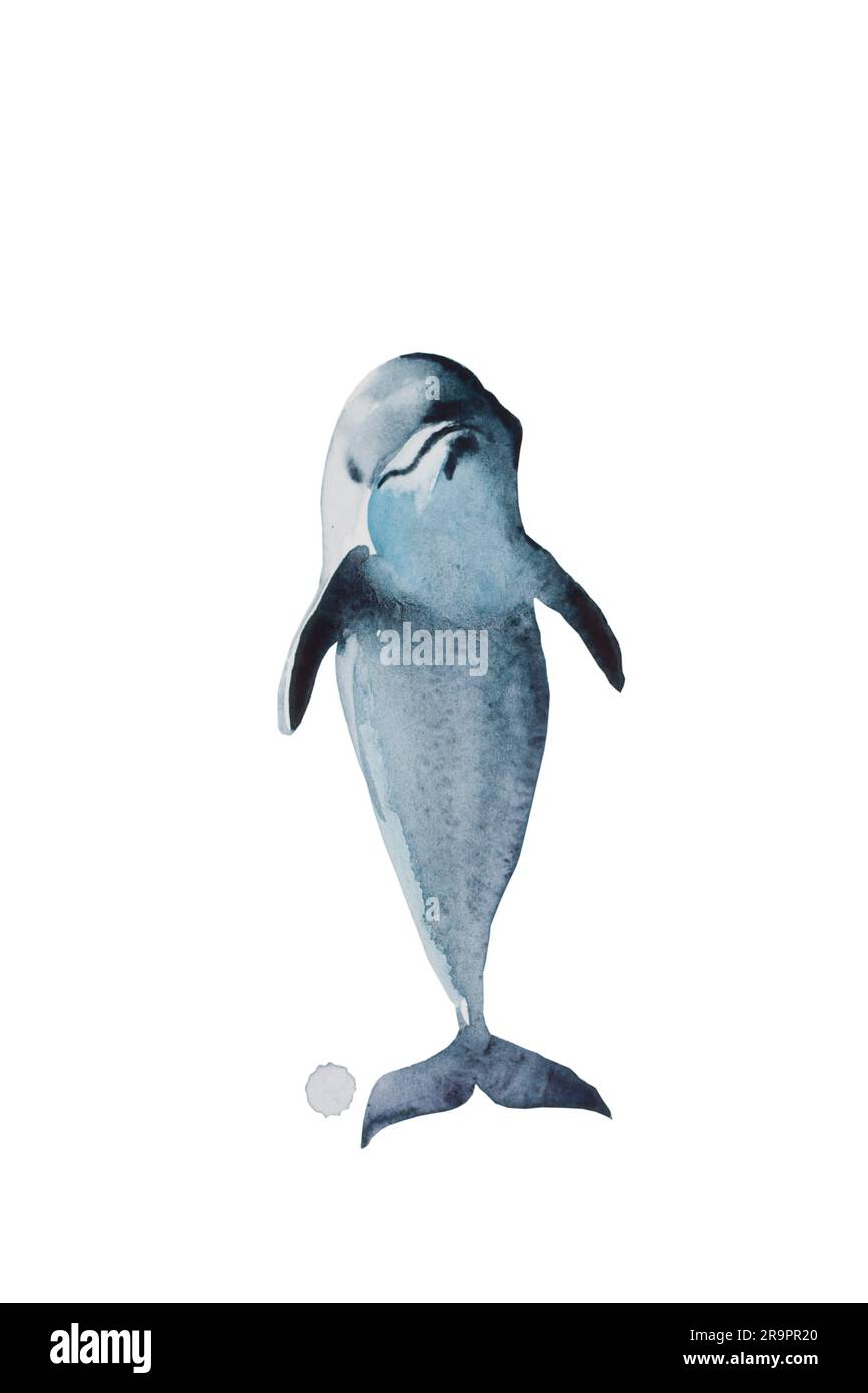 PLAYFULL aquarelle bleu dauphin saut de l'eau . Illustration originale de la peinture à la main d'un animal marin, isolé sur fond blanc Banque D'Images